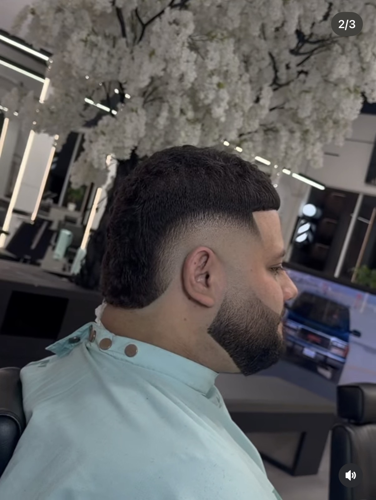 Modern Mullet